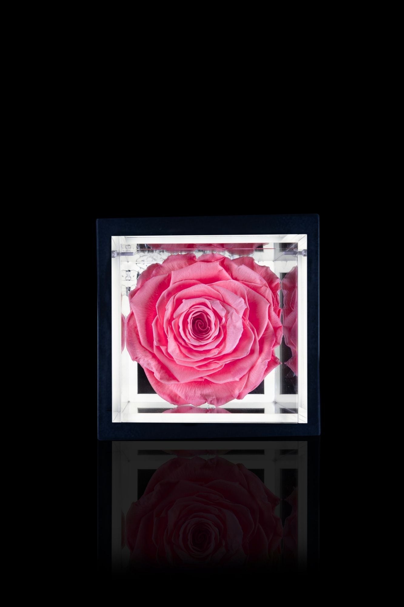 FLOWERCUBE® + LAMPADA: SET COMPLETO