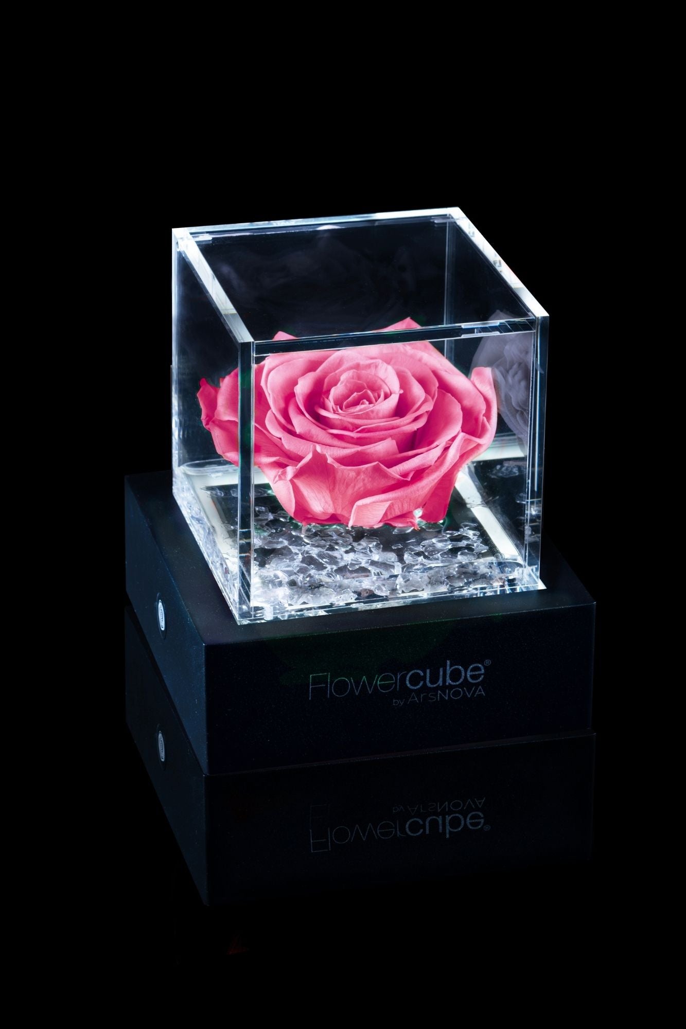 FLOWERCUBE® + LAMPADA: SET COMPLETO