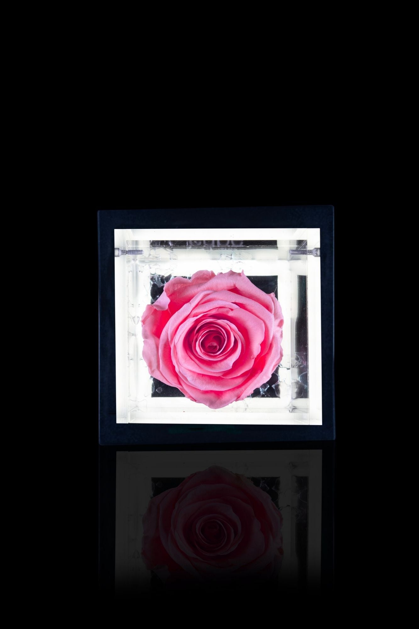 FLOWERCUBE® + LAMPADA: SET COMPLETO