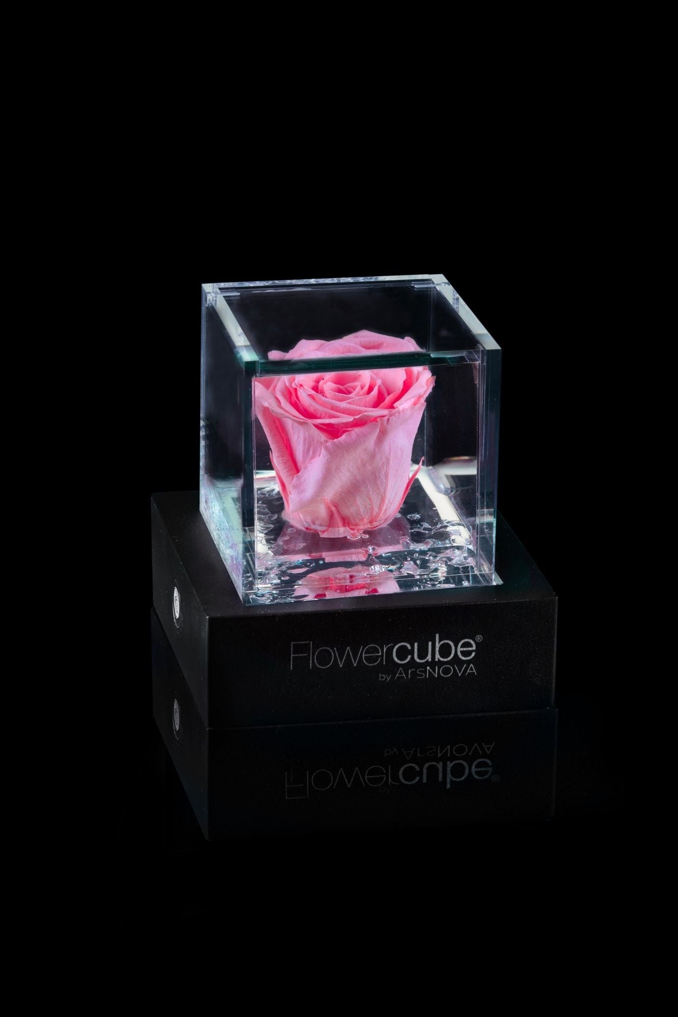 FLOWERCUBE® + LAMPADA: SET COMPLETO