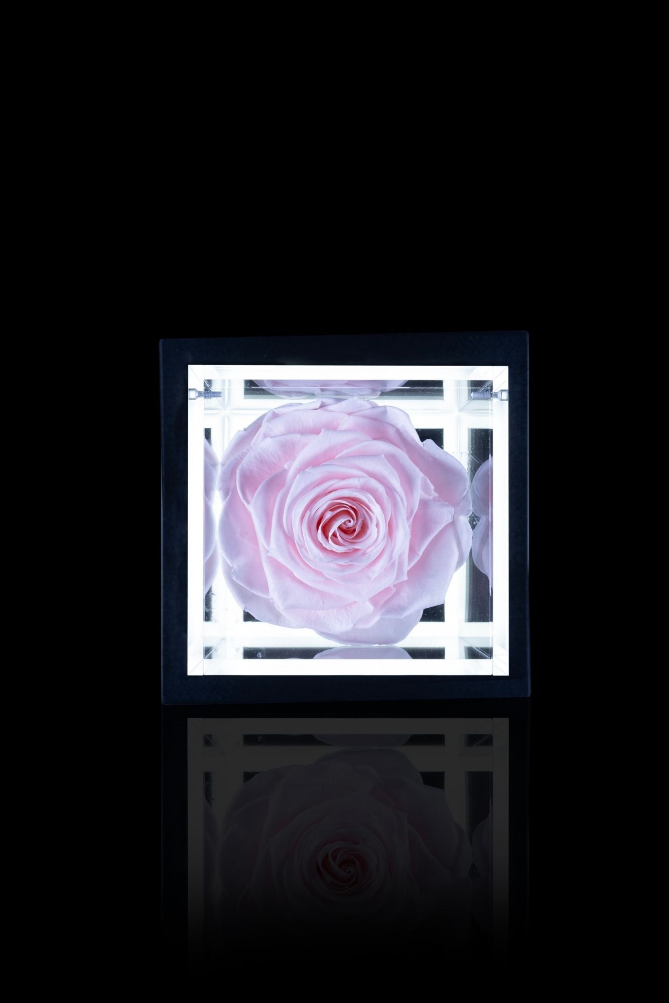 FLOWERCUBE® + LAMPADA: SET COMPLETO