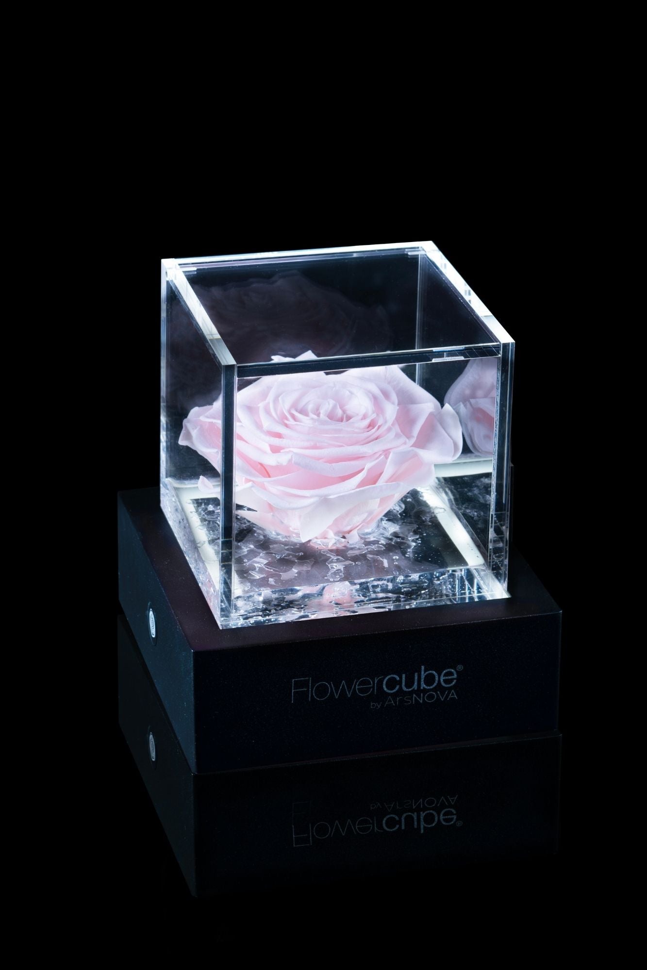 FLOWERCUBE® + LAMPADA: SET COMPLETO