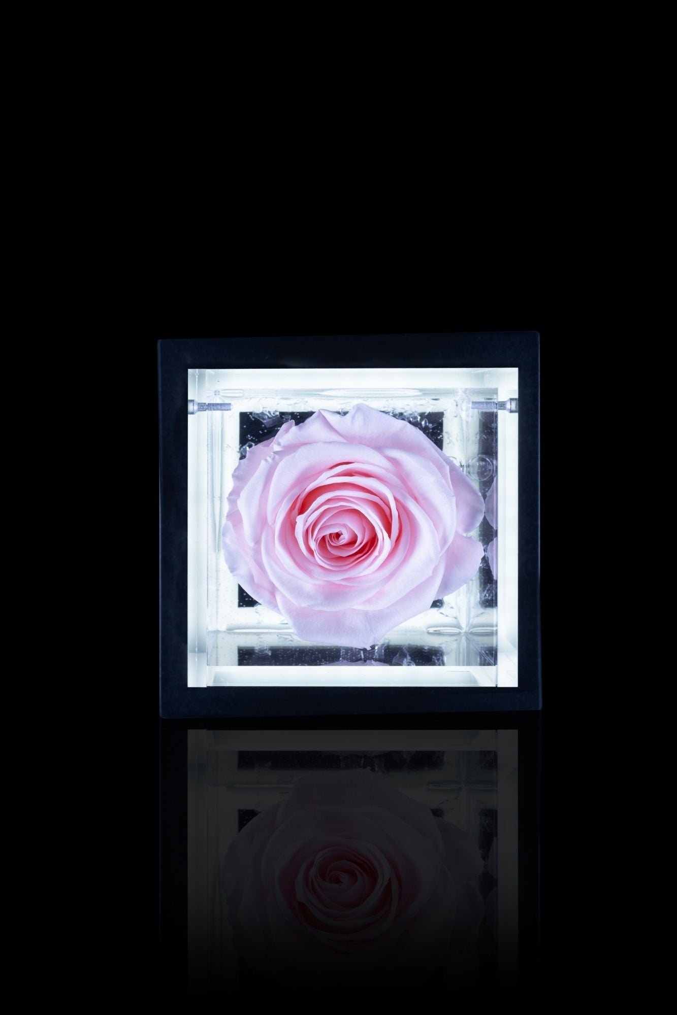 FLOWERCUBE® + LAMPADA: SET COMPLETO