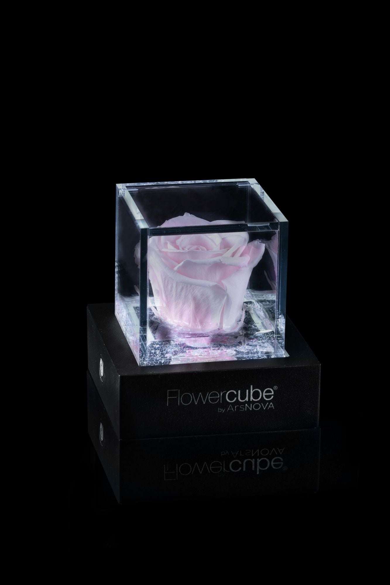 FLOWERCUBE® + LAMPADA: SET COMPLETO
