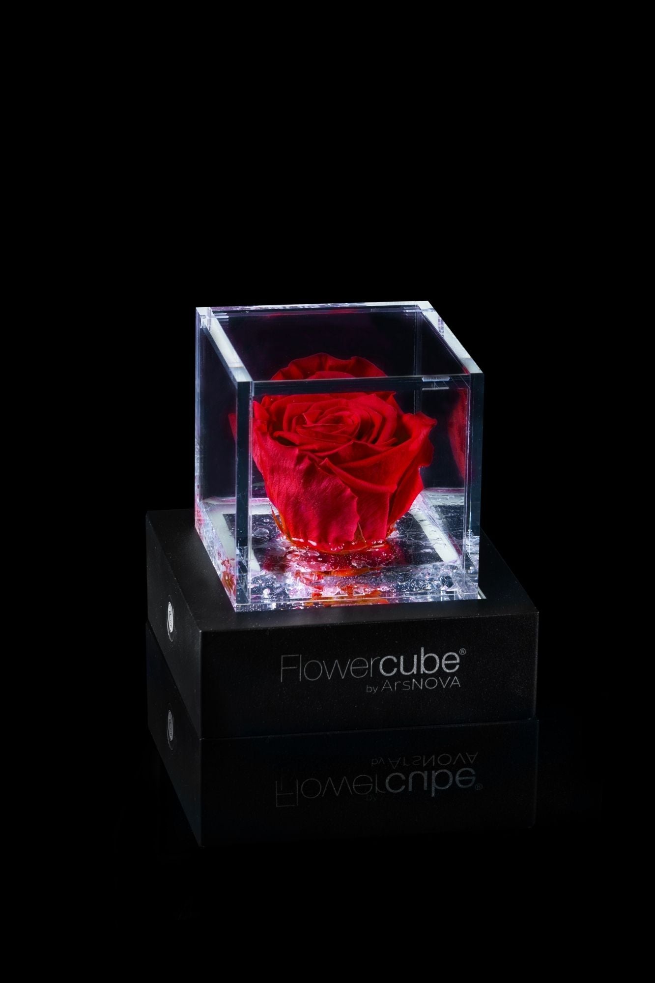 FLOWERCUBE® + LAMPADA: SET COMPLETO