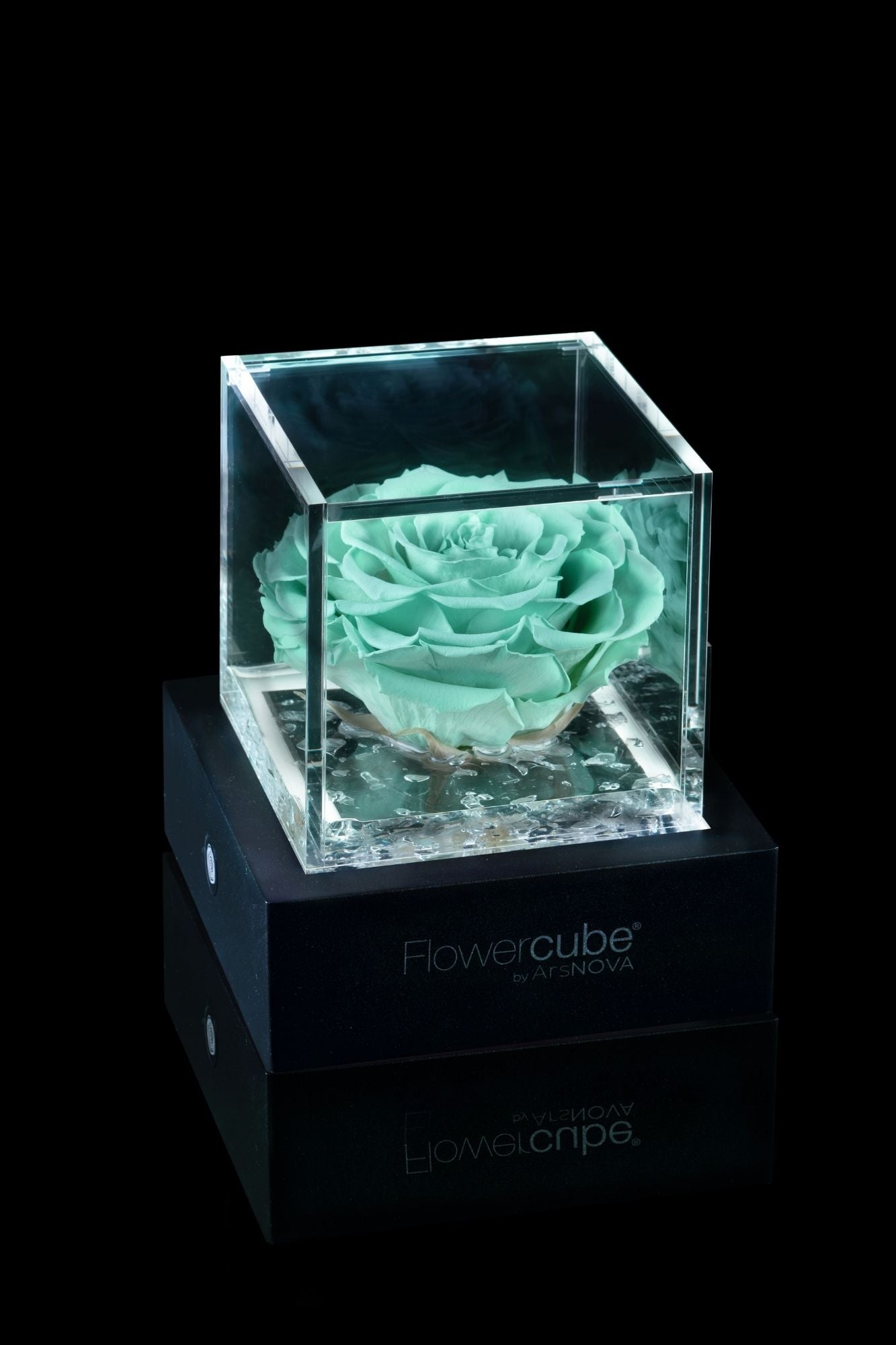 FLOWERCUBE® + LAMPADA: SET COMPLETO