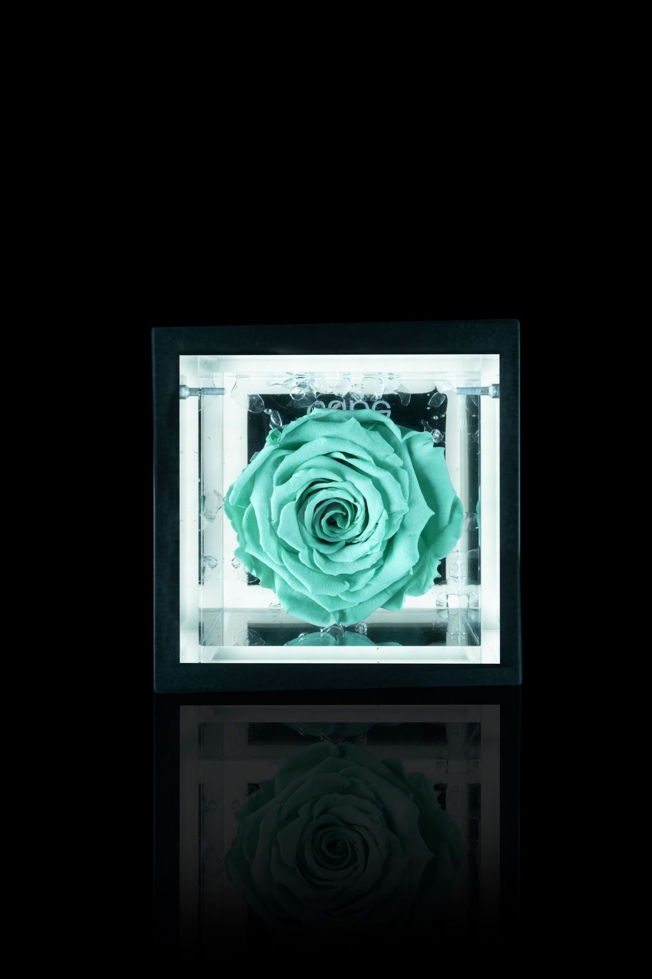 FLOWERCUBE® + LAMPADA: SET COMPLETO