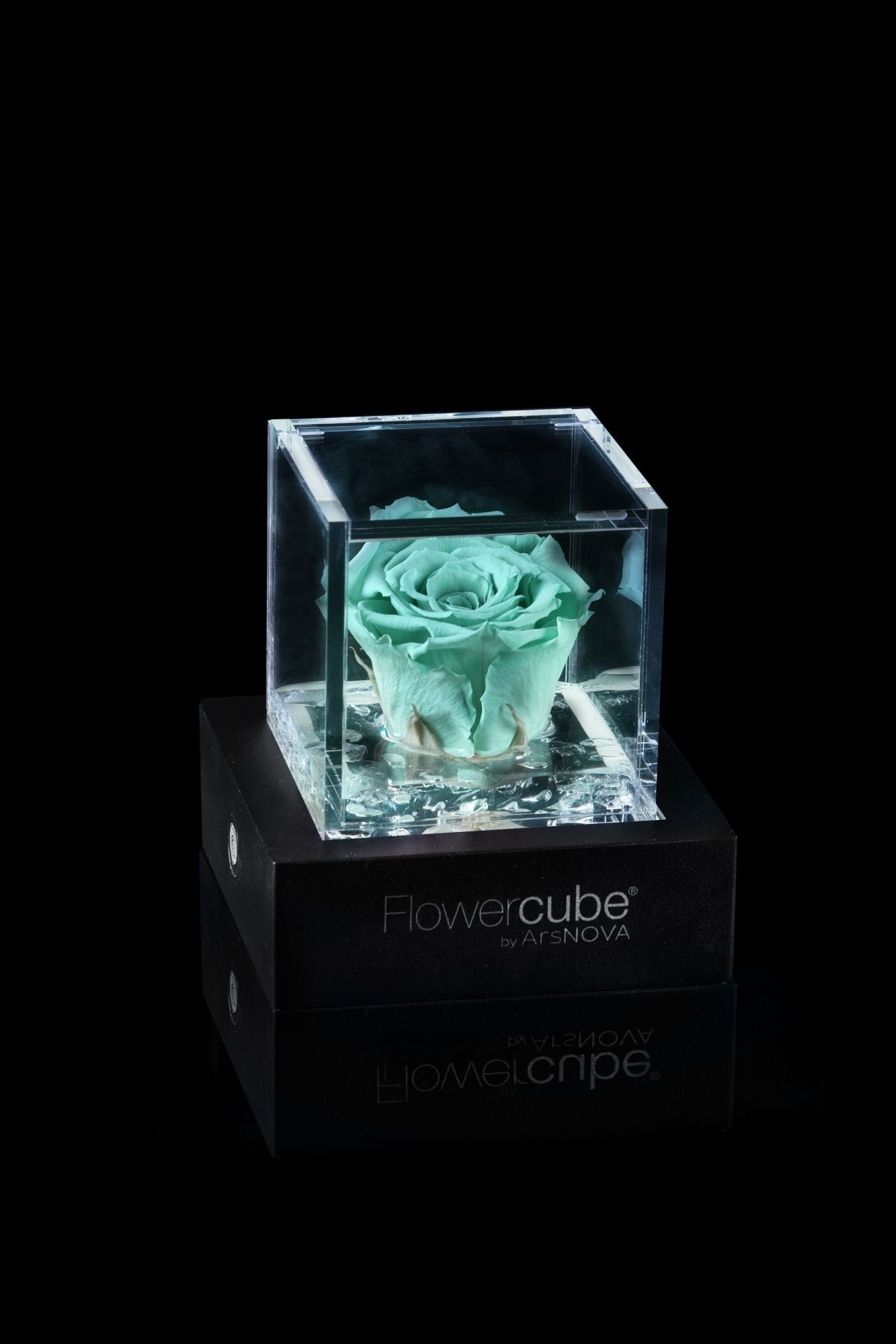 FLOWERCUBE® + LAMPADA: SET COMPLETO