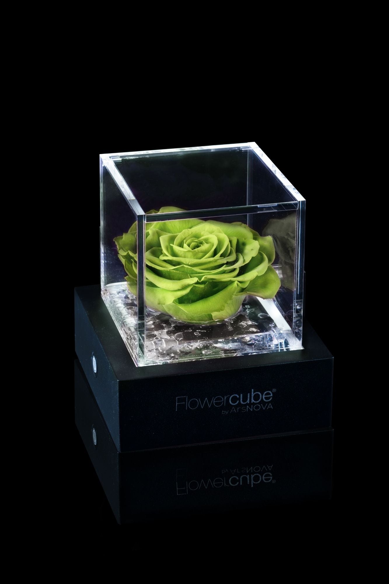 FLOWERCUBE® + LAMPADA: SET COMPLETO
