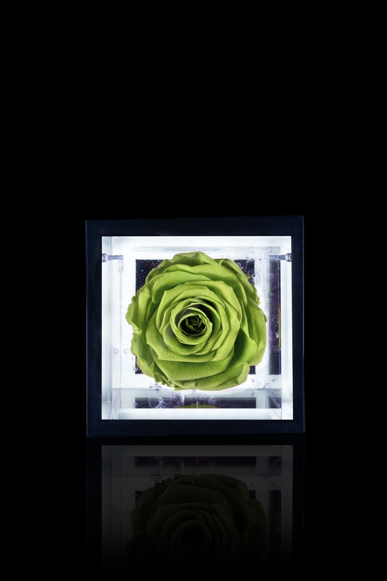 FLOWERCUBE® + LAMPADA: SET COMPLETO