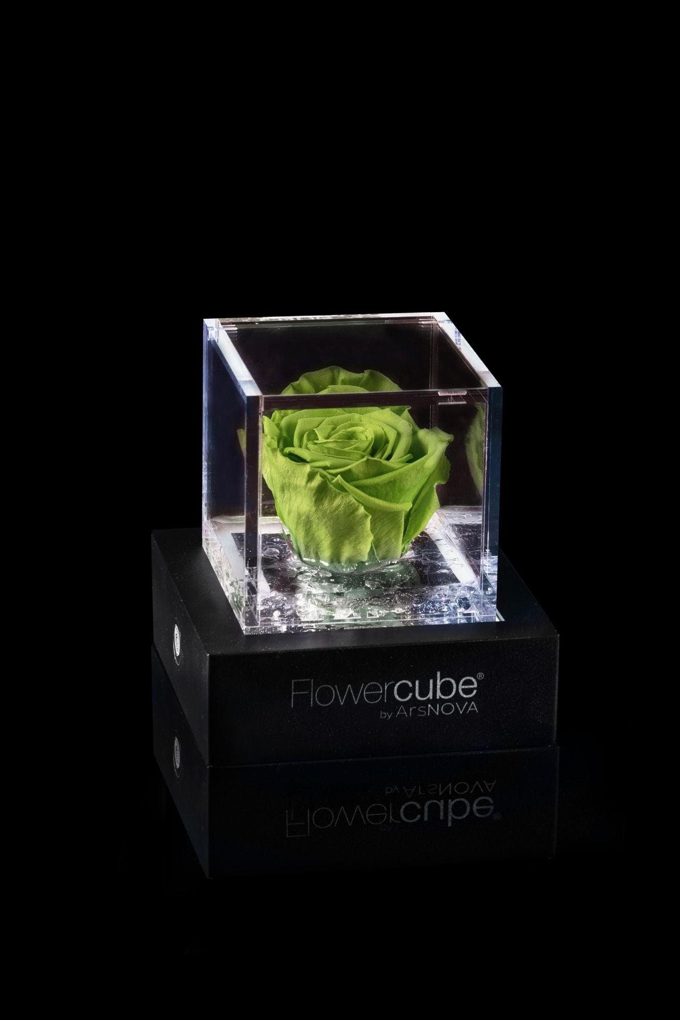 FLOWERCUBE® + LAMPADA: SET COMPLETO