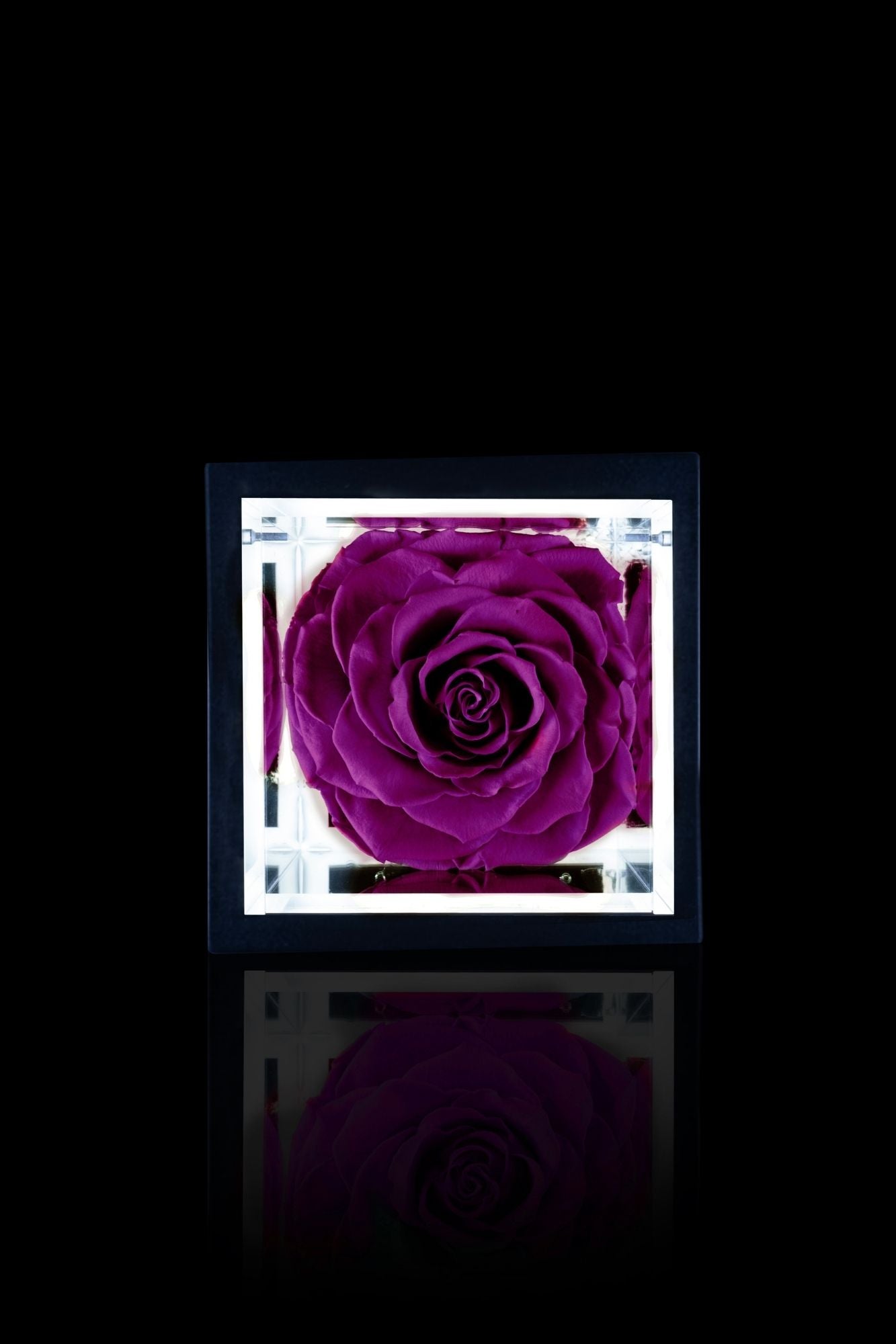 FLOWERCUBE® + LAMPADA: SET COMPLETO