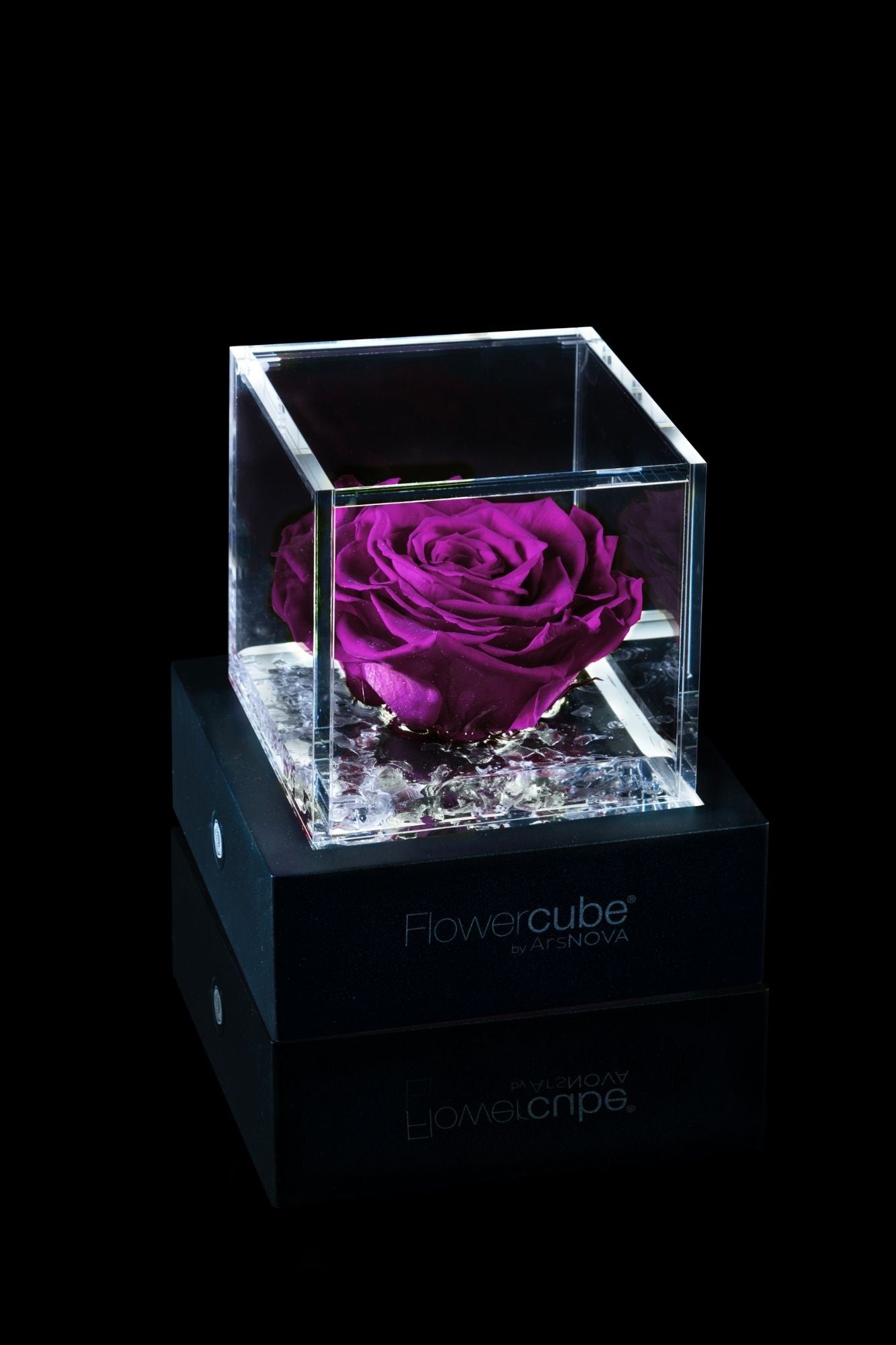 FLOWERCUBE® + LAMPADA: SET COMPLETO