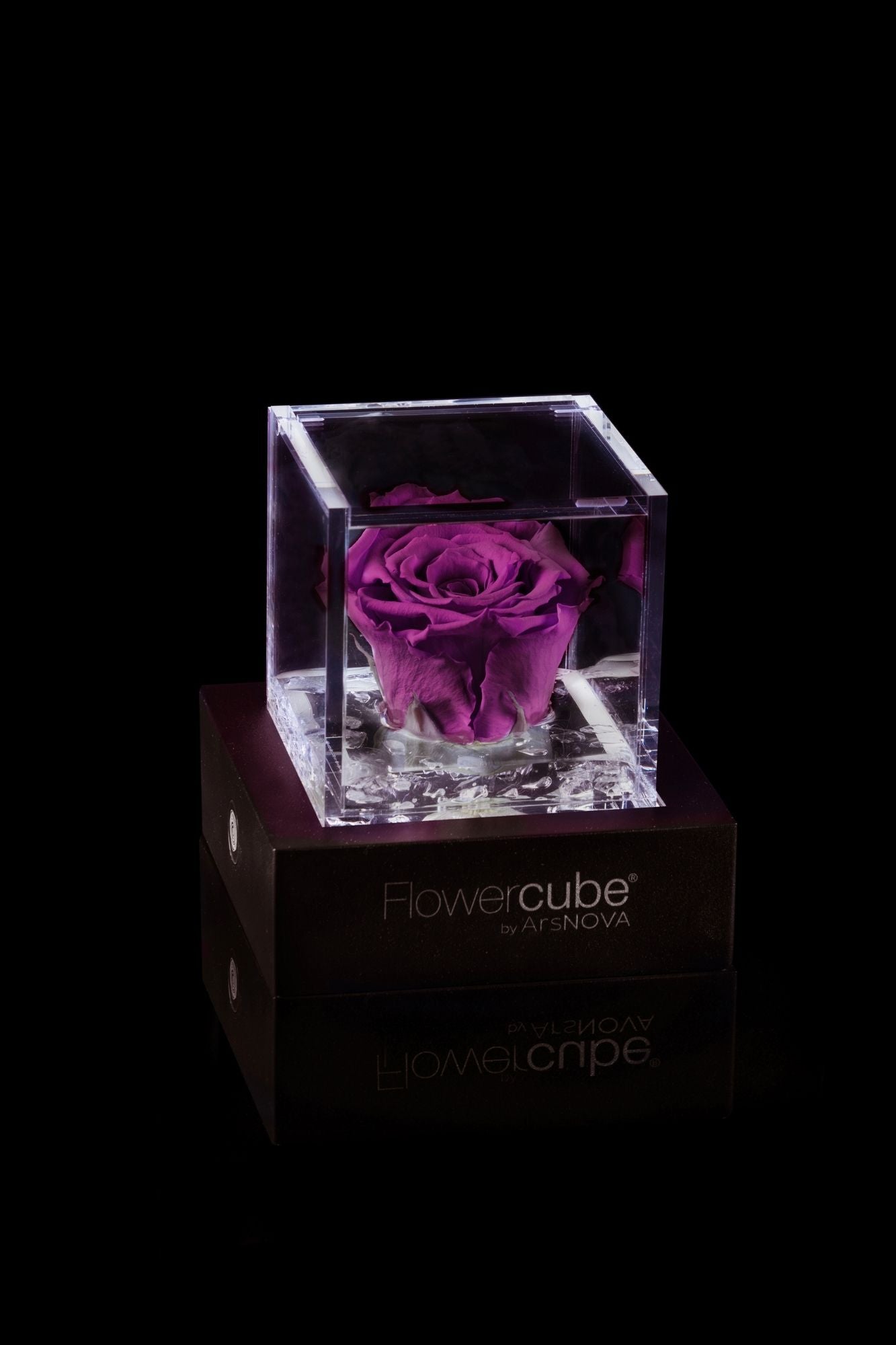 FLOWERCUBE® + LAMPADA: SET COMPLETO