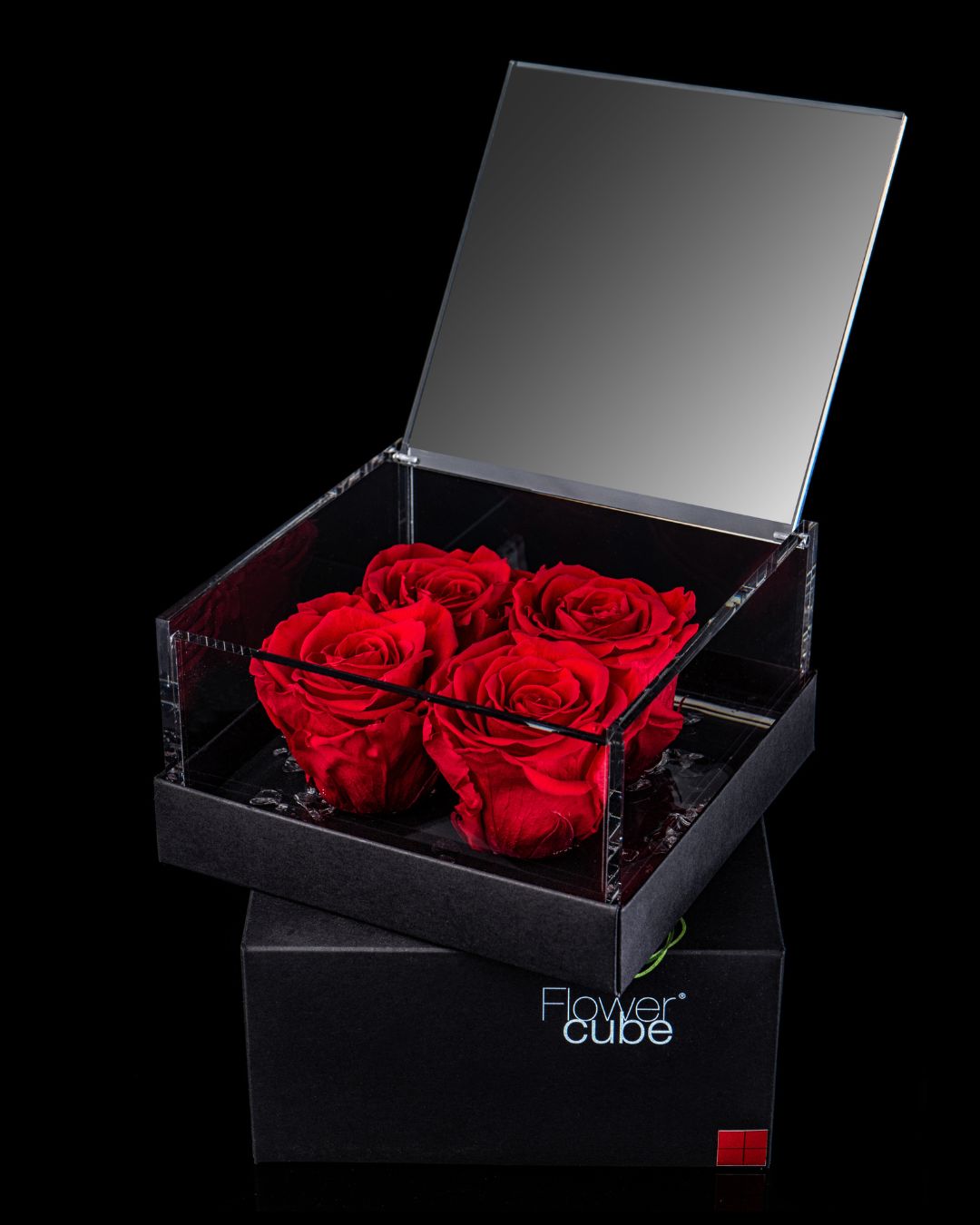 FLOWERCUBE SPECIAL EDITION MULTIROSE - 4 ROSE ROSSE