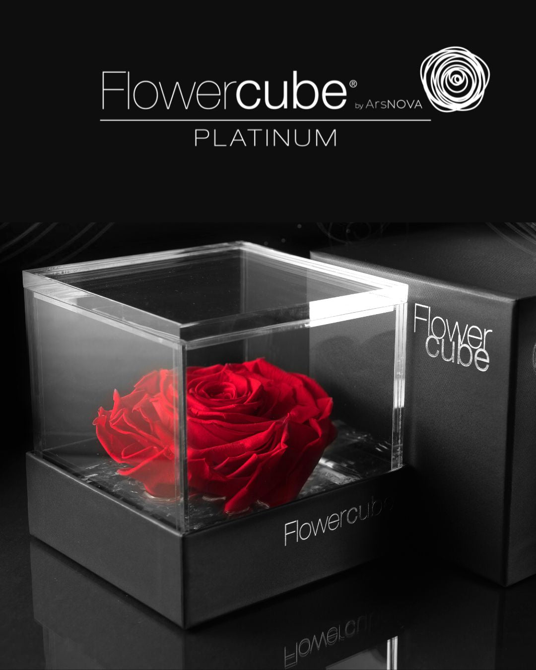 FLOWERCUBE PLATINUM - 1 ROSA ROSSA