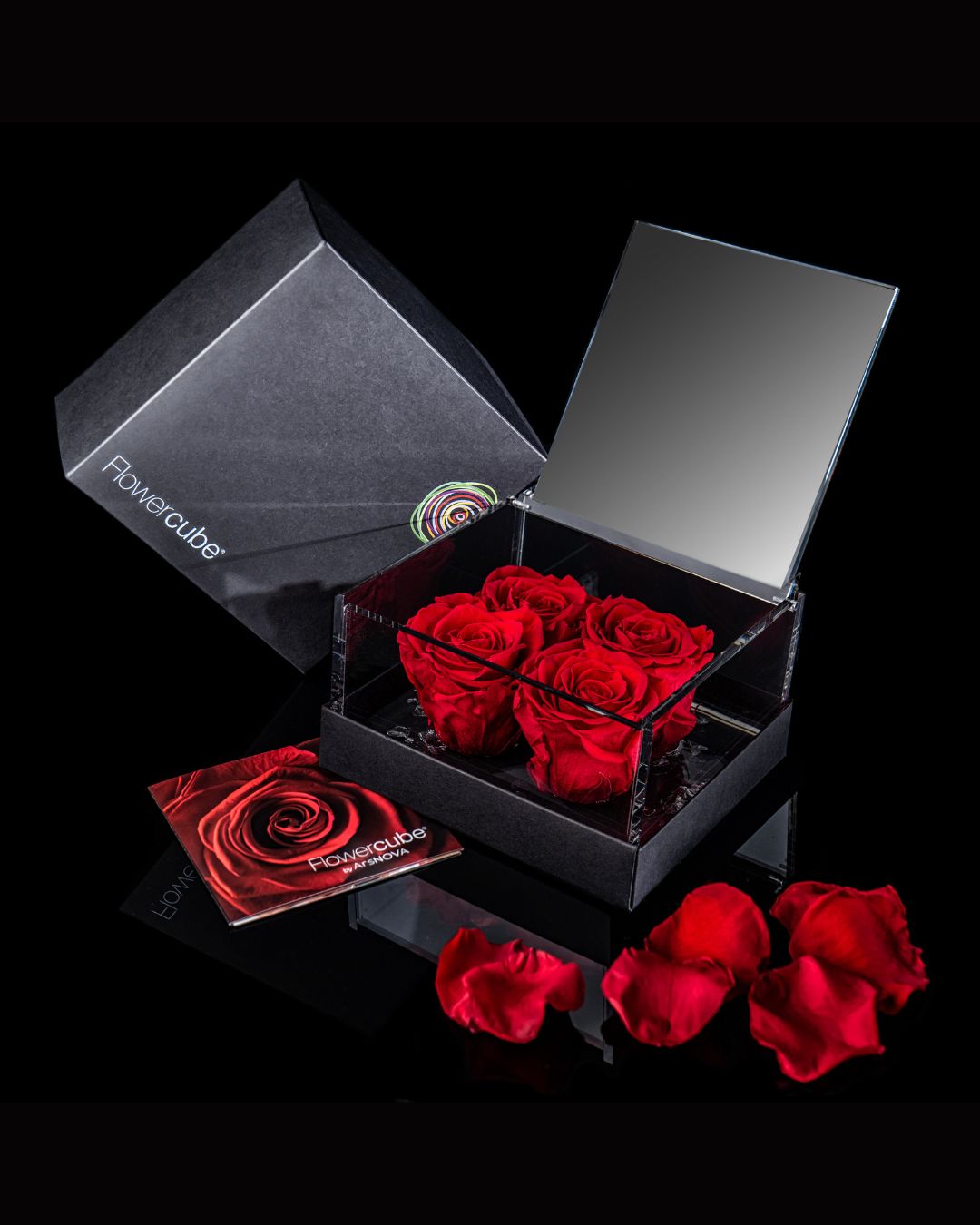 FLOWERCUBE SPECIAL EDITION MULTIROSE - 4 ROSE ROSSE