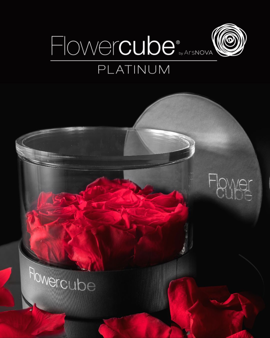 FLOWERCUBE PLATINUM - 7 ROSE ROSSE CILINDRO
