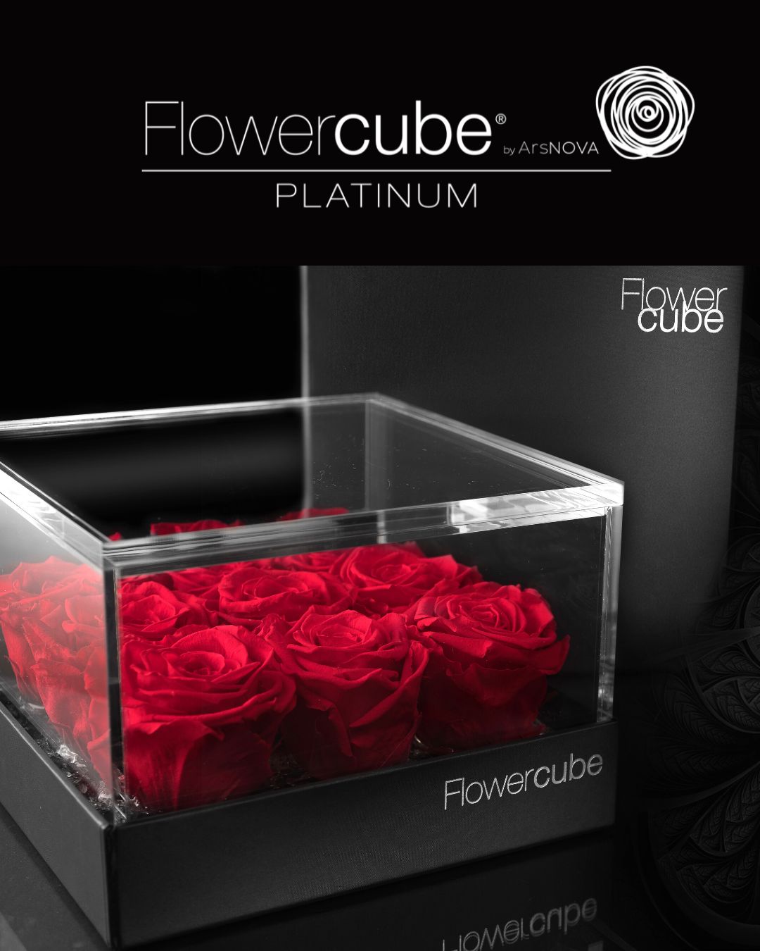 FLOWERCUBE PLATINUM - 9 ROSE ROSSE