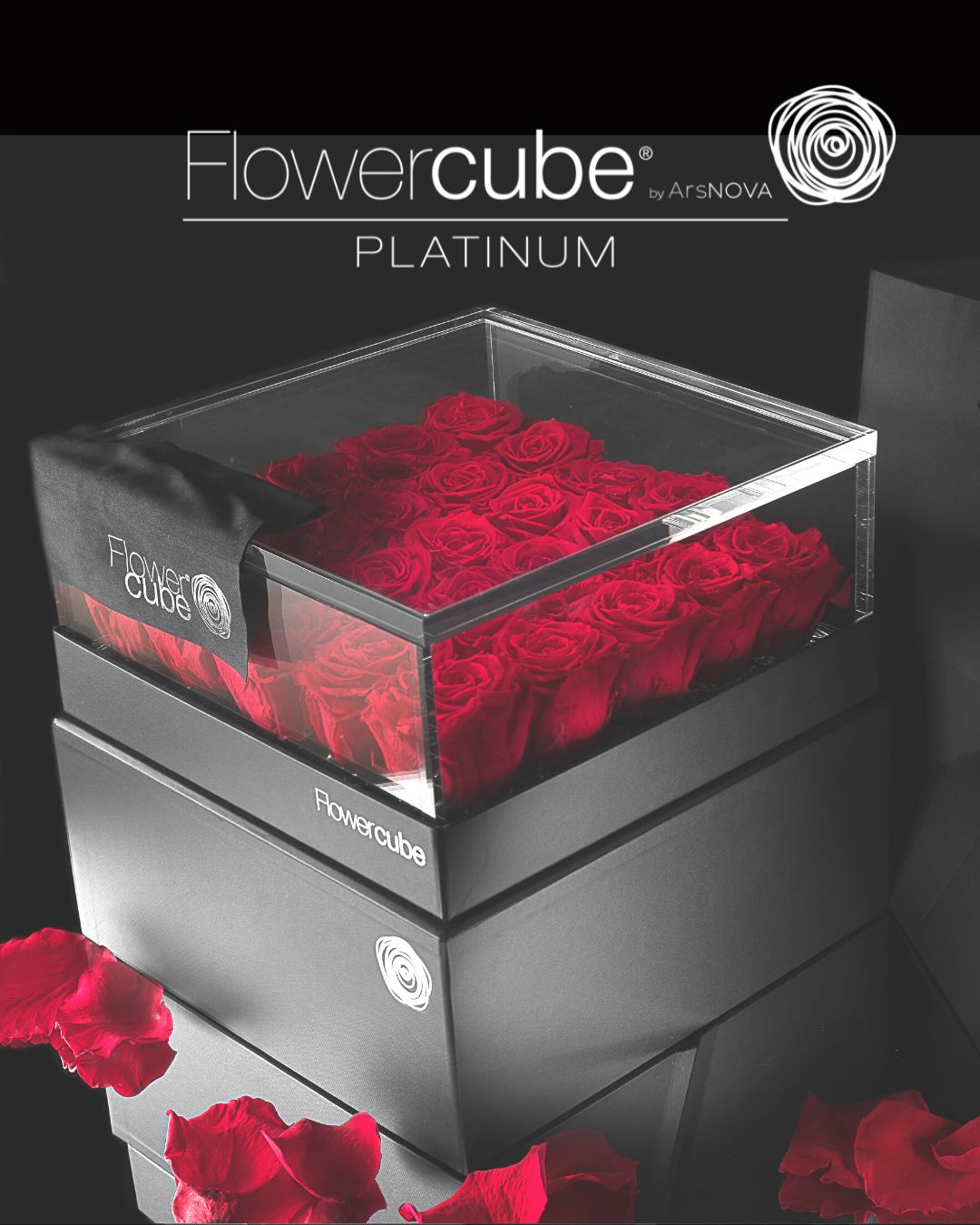 FLOWERCUBE PLATINUM - 25 ROSE ROSSE