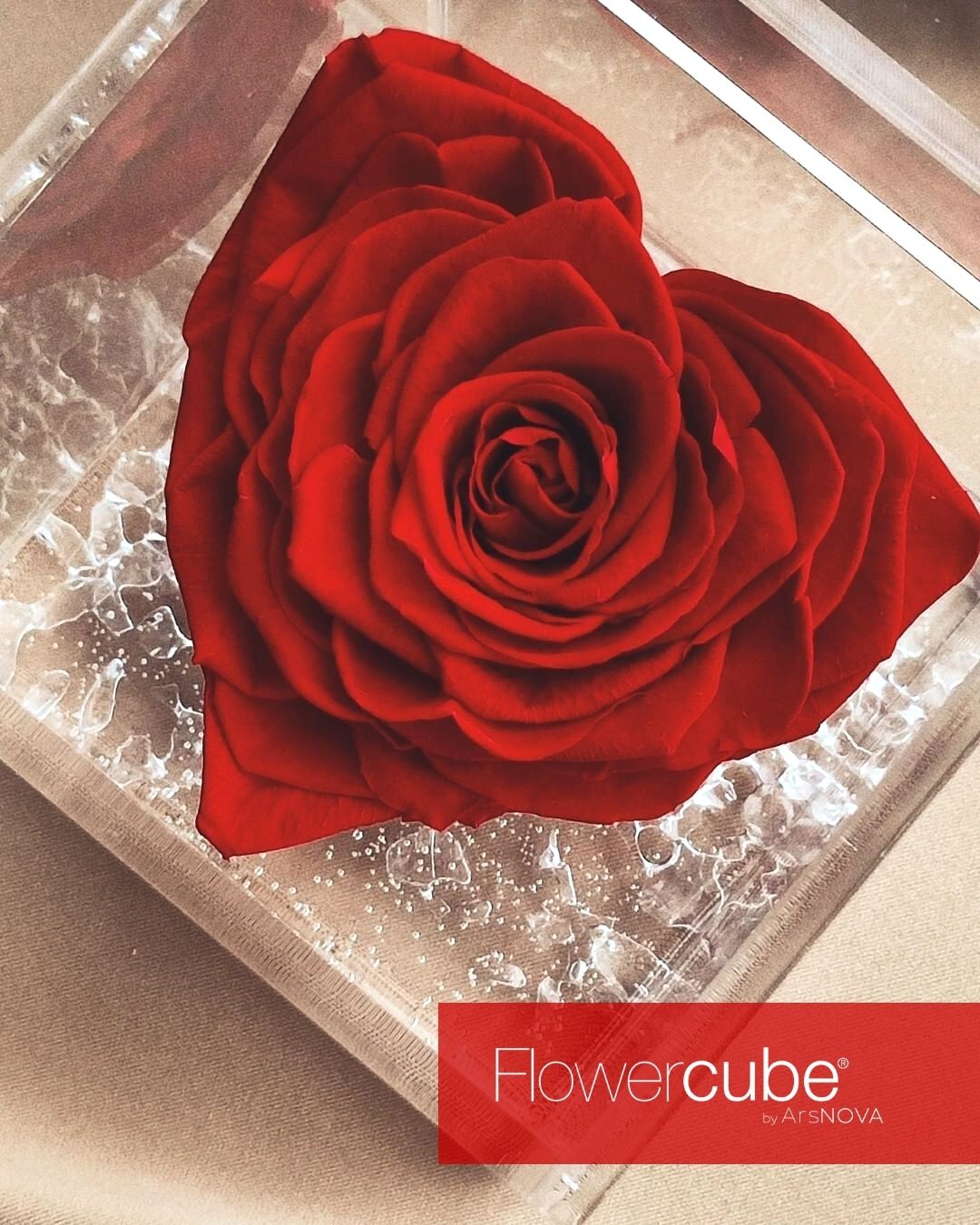 FLOWERCUBE SPECIAL EDITION CUORE – Red FLOWER