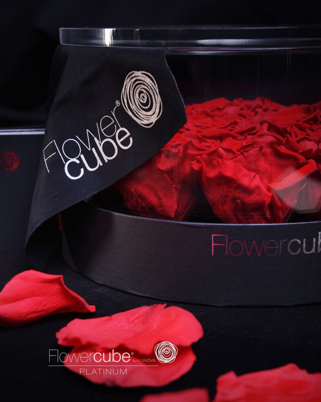 FLOWERCUBE PLATINUM - 12 ROSE ROSSE CILINDRO