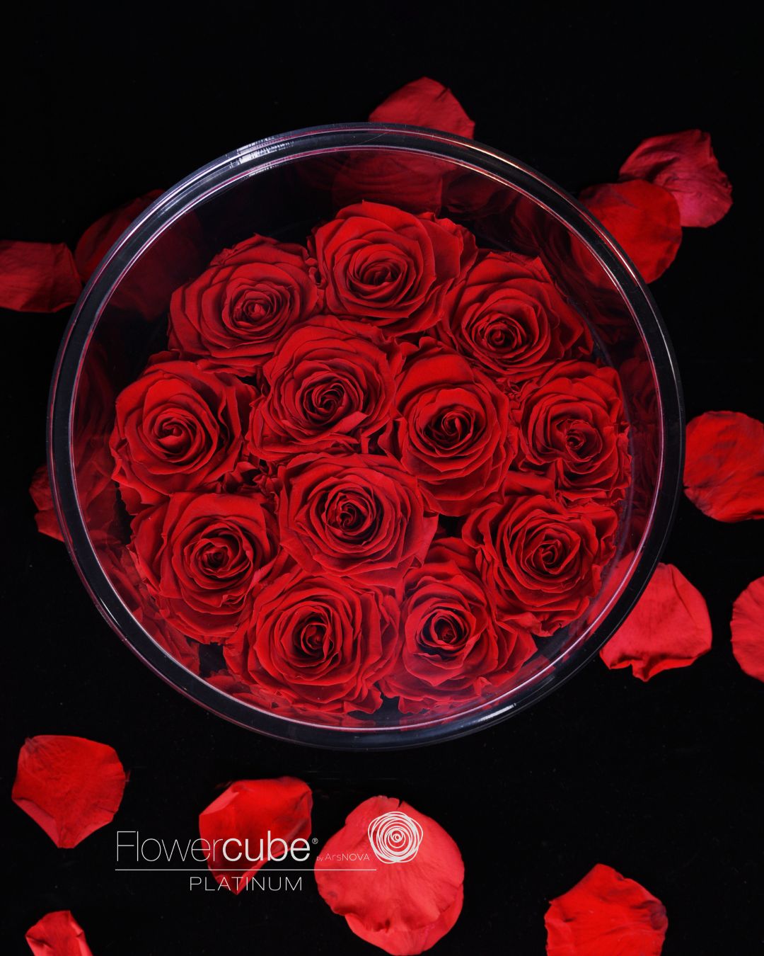 FLOWERCUBE PLATINUM - 12 ROSE ROSSE CILINDRO