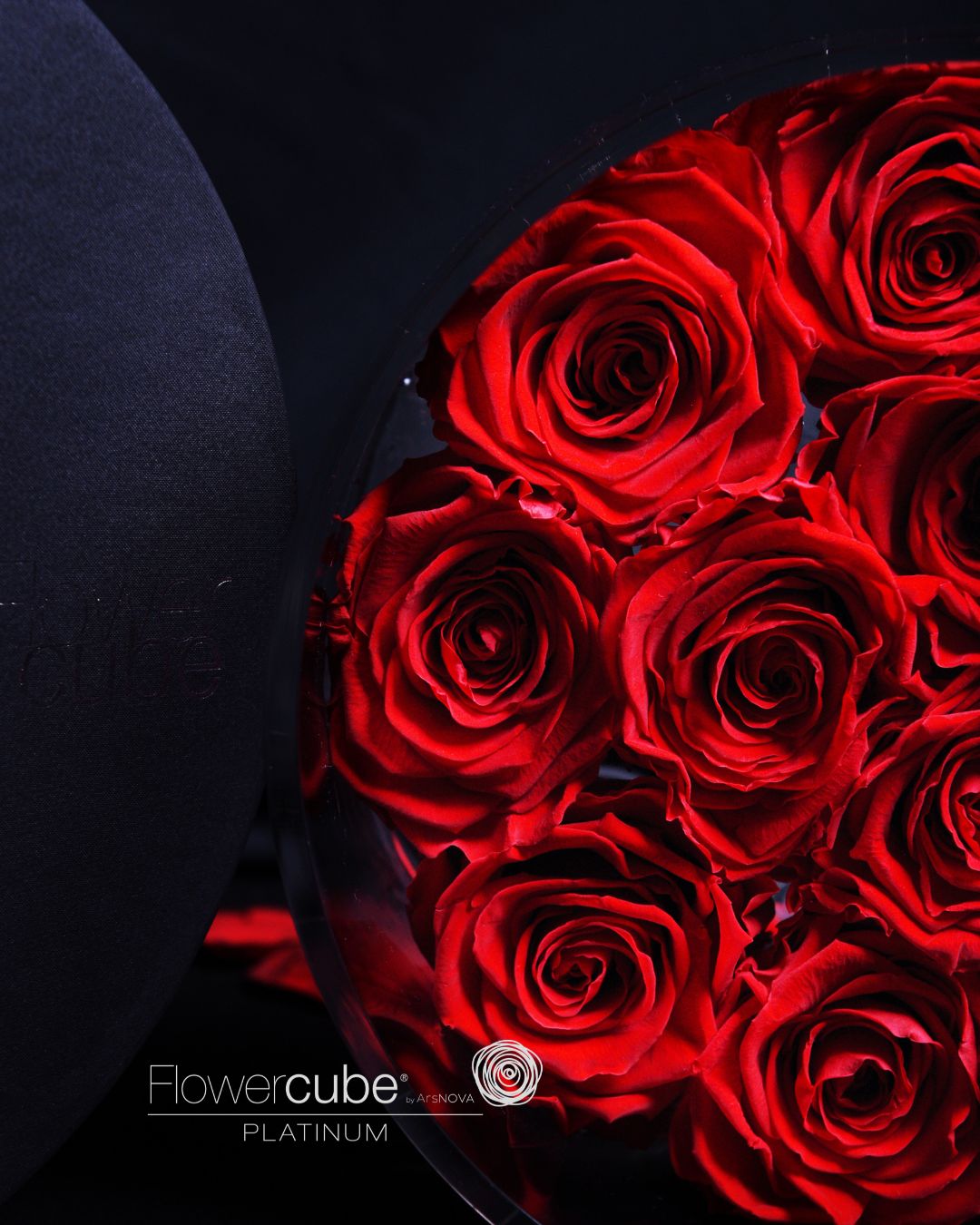 FLOWERCUBE PLATINUM - 12 ROSE ROSSE CILINDRO