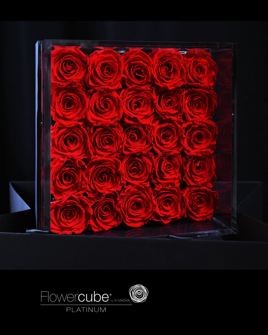 FLOWERCUBE PLATINUM - 25 ROSE ROSSE