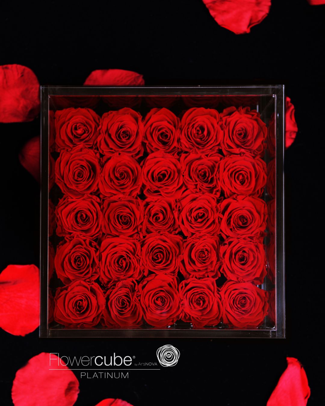 FLOWERCUBE PLATINUM - 25 ROSE ROSSE