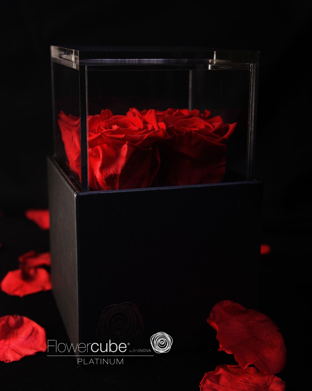 FLOWERCUBE PLATINUM - 4 ROSE ROSSE