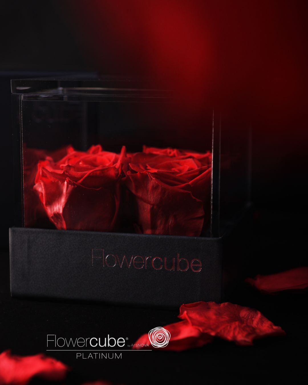 FLOWERCUBE PLATINUM - 4 ROSE ROSSE