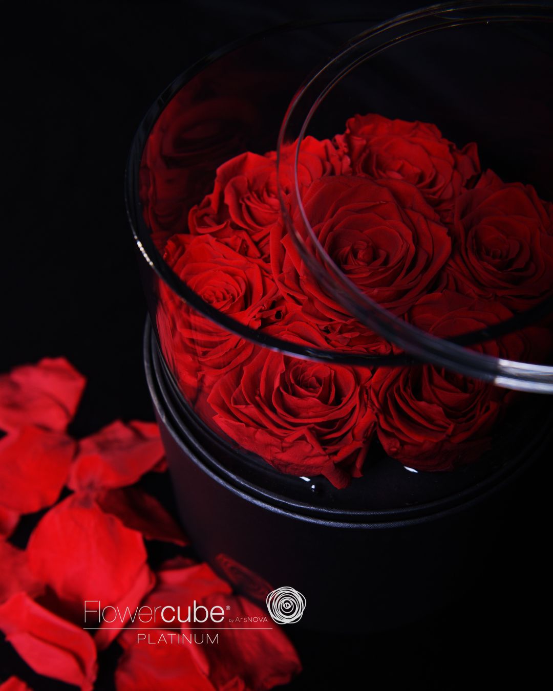 FLOWERCUBE PLATINUM - 7 ROSE ROSSE CILINDRO