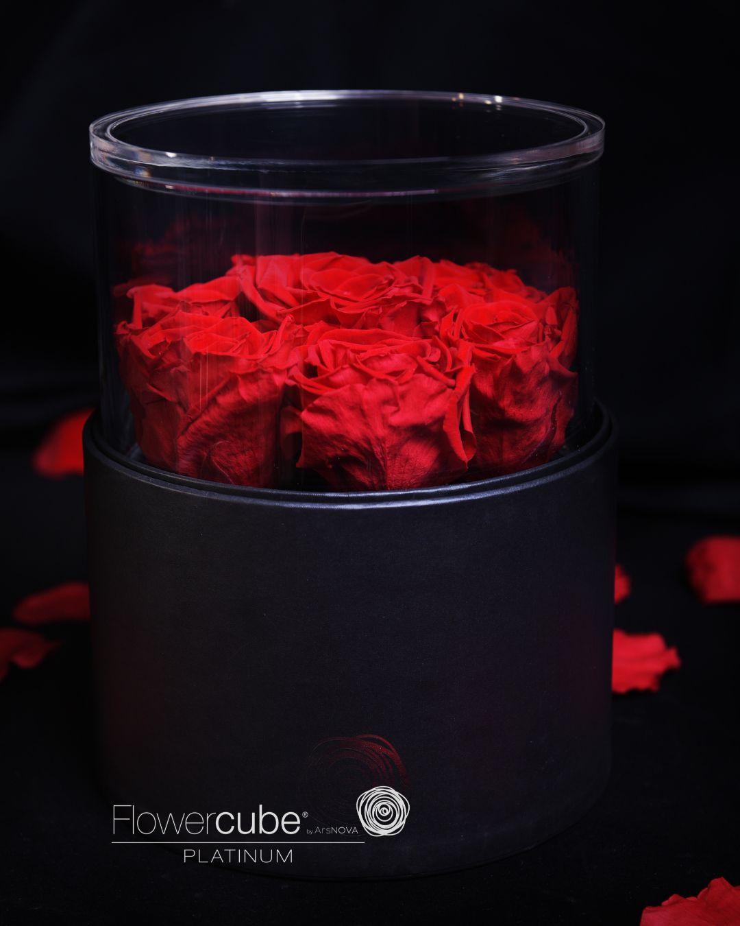 FLOWERCUBE PLATINUM - 7 ROSE ROSSE CILINDRO