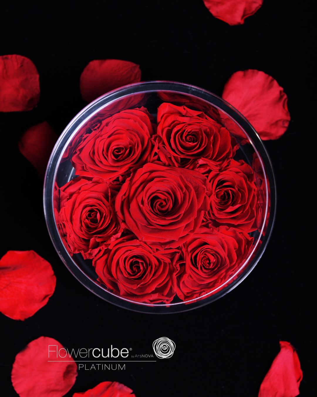 FLOWERCUBE PLATINUM - 7 ROSE ROSSE CILINDRO