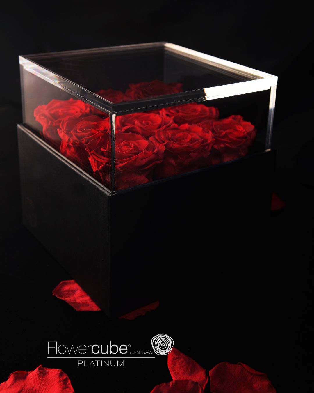 FLOWERCUBE PLATINUM - 9 ROSE ROSSE