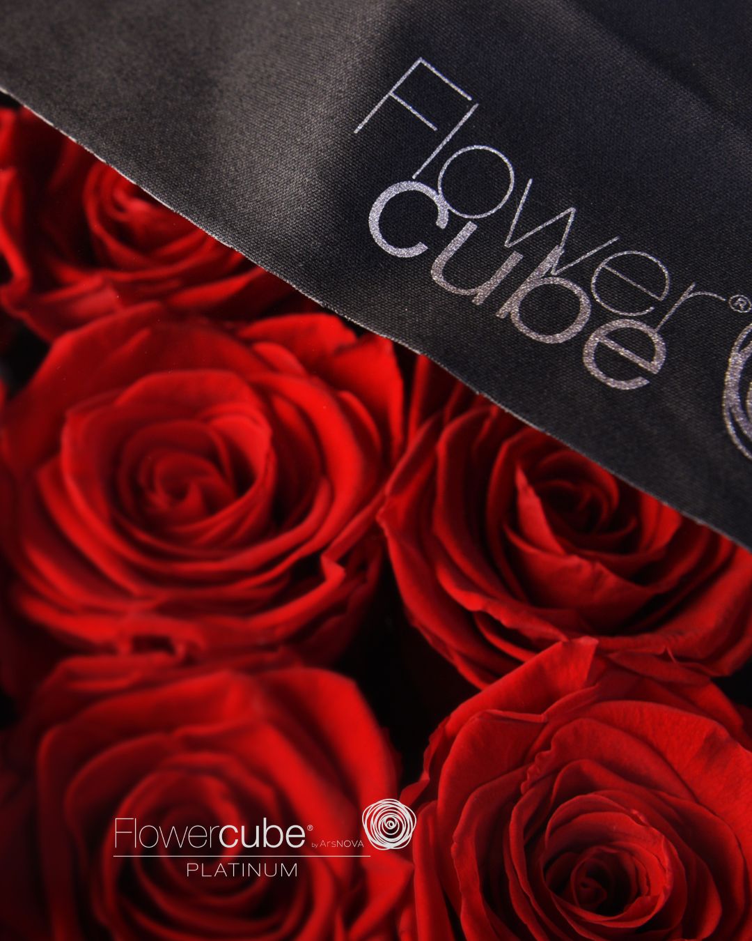 FLOWERCUBE PLATINUM - 9 ROSE ROSSE