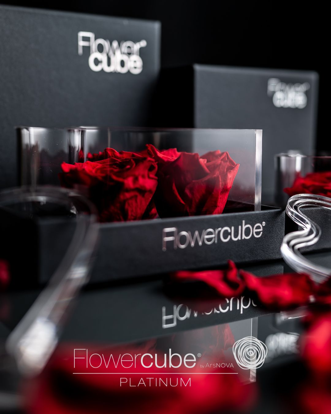 FLOWERCUBE PLATINUM CUORE
