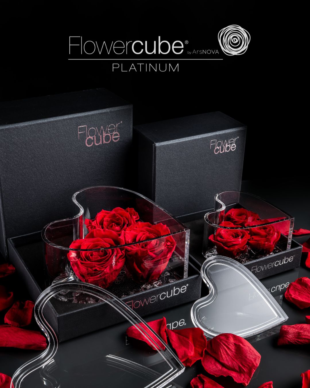 FLOWERCUBE PLATINUM CUORE