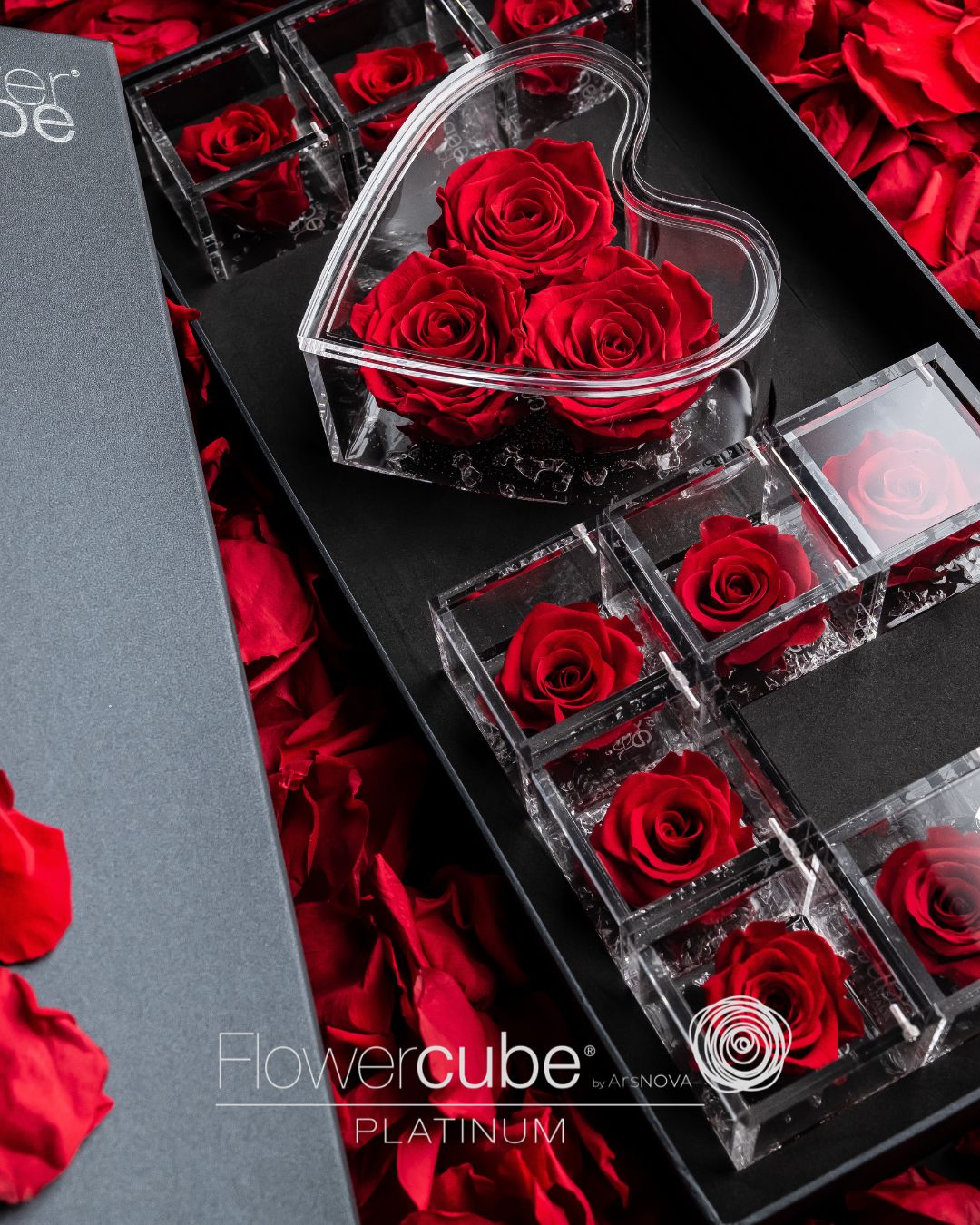 FLOWERCUBE PLATINUM - 1 ROSE ROUGE