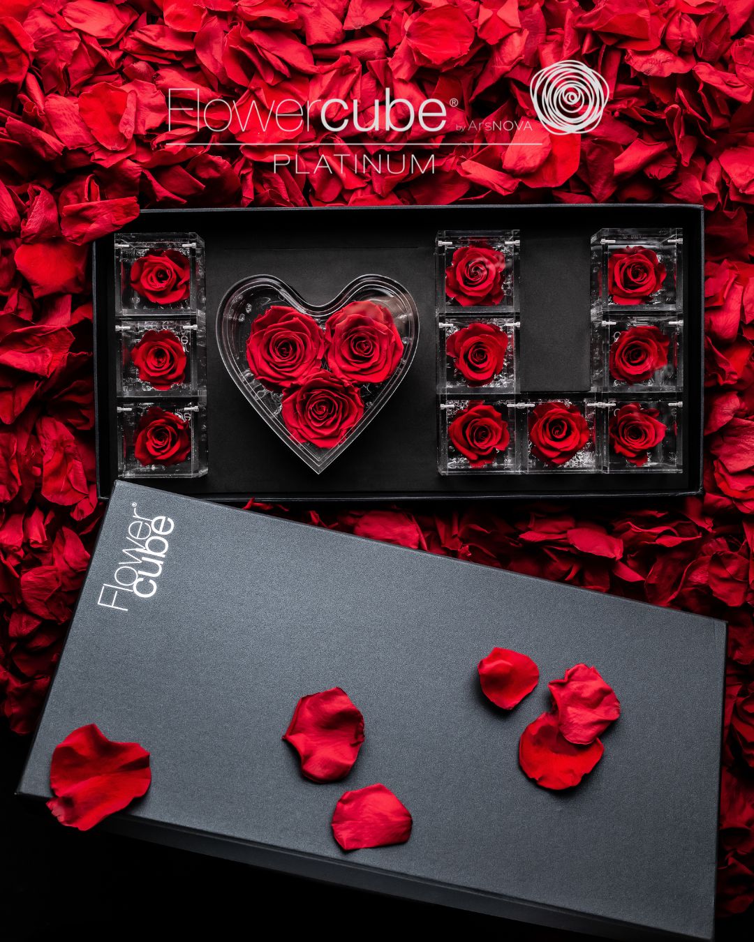 FLOWERCUBE PLATINUM - 1 ROSE ROUGE
