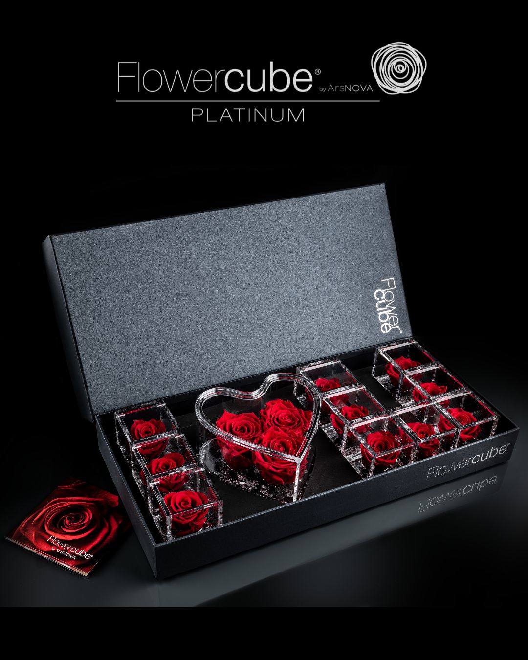 FLOWERCUBE PLATINUM - 1 ROSE ROUGE