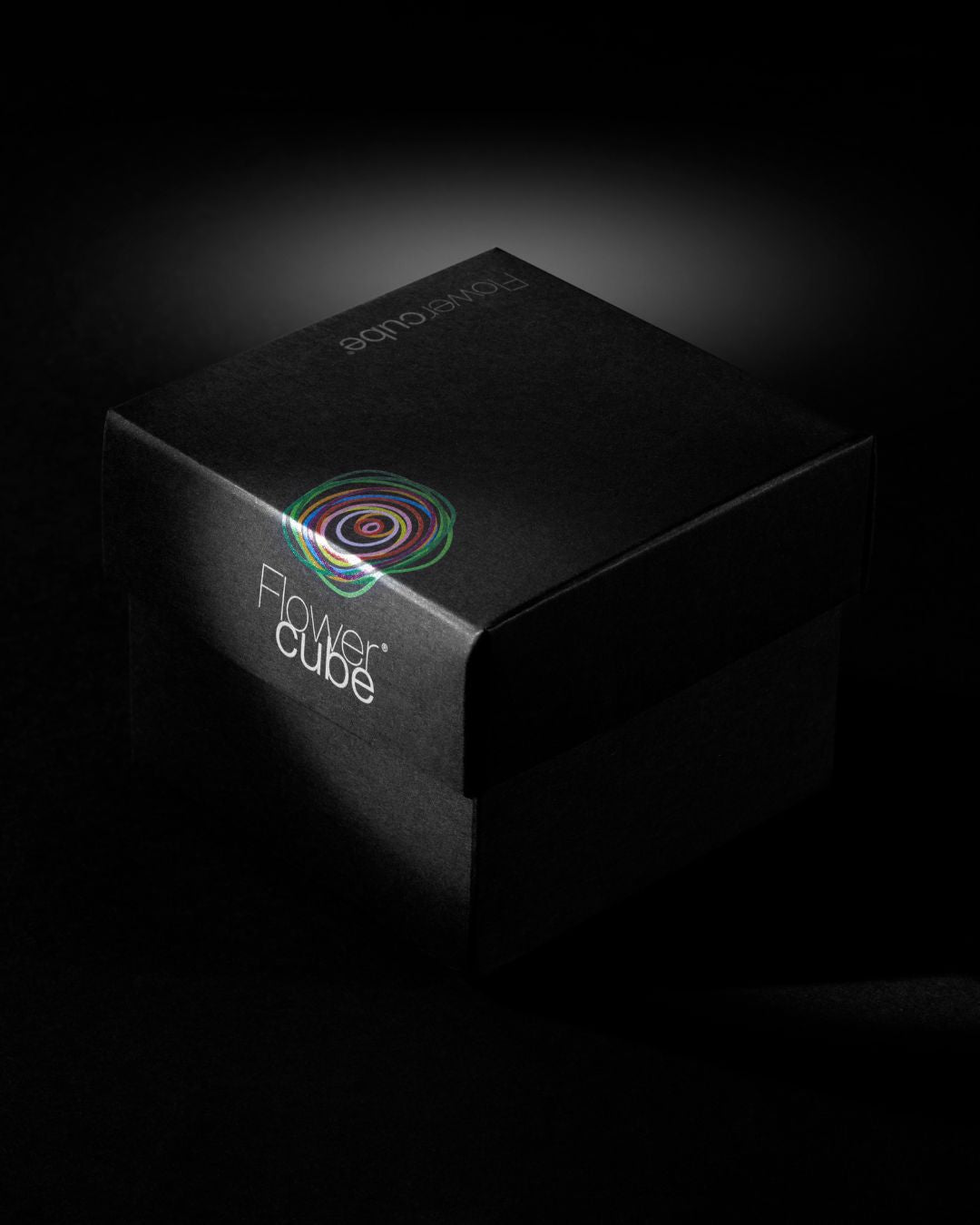 FLOWERCUBE SPECIAL EDITION TOURNESOL