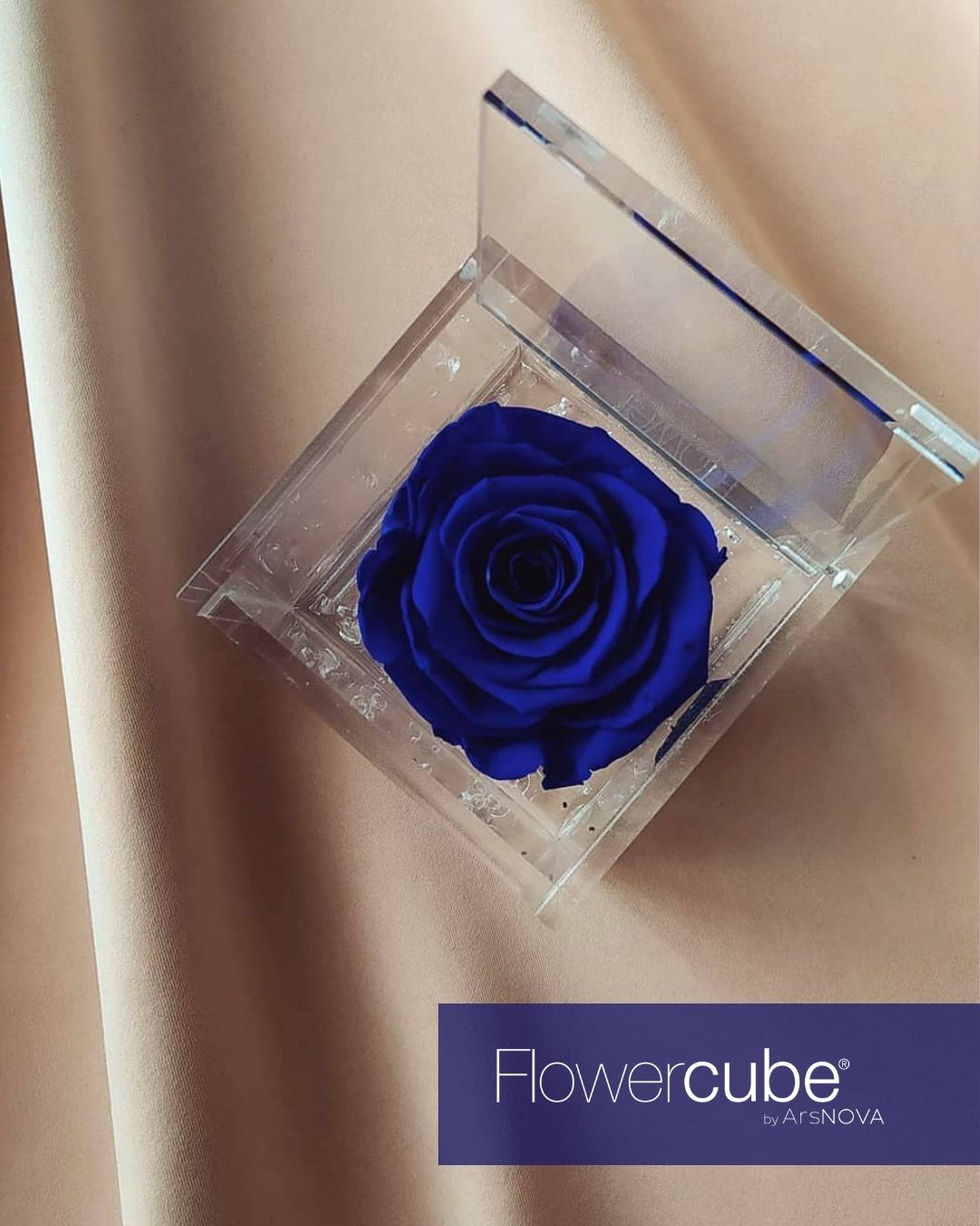 FLOWERCUBE BLU