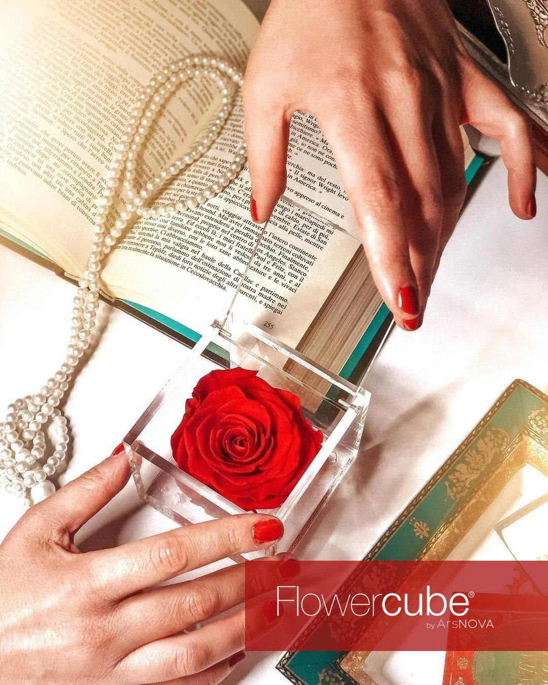 FLOWERCUBE ROSSO
