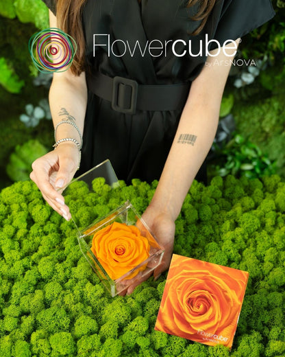 FLOWERCUBE ROUGE