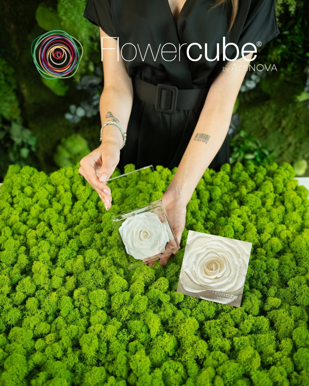 Flowercube® by Ars NOVA