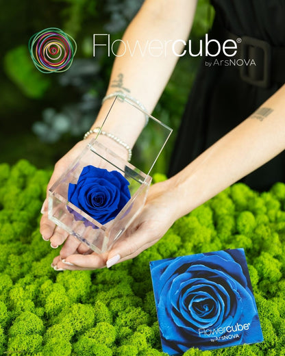 FLOWERCUBE ROUGE