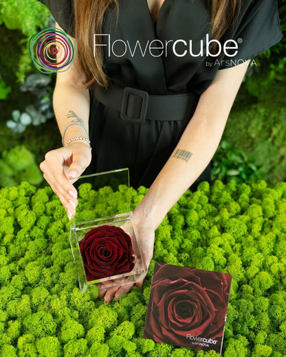 FLOWERCUBE ROUGE