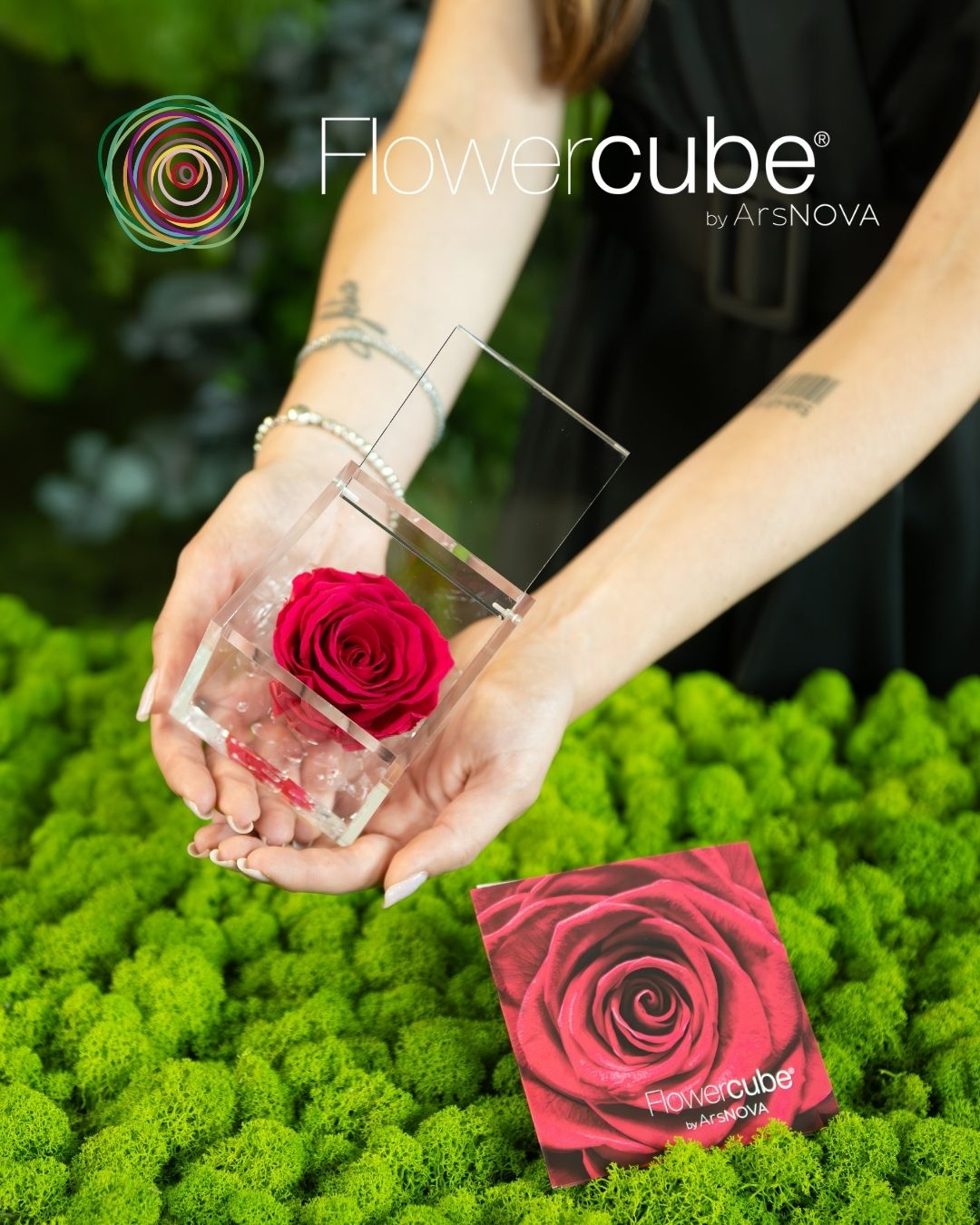 FLOWERCUBE ROUGE